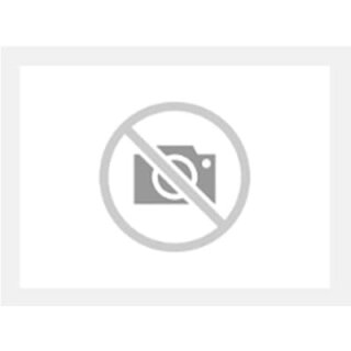 ABB OT250ES02P10-120 Lasttrennschalter 2-polig 250A m. Griff u. Welle