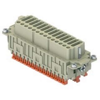 CDSHF42
