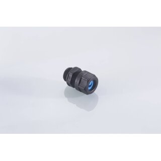 bg 216PAn