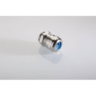 bg 240msex
