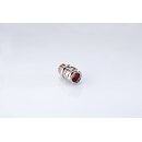 Lex 220ms HTS
