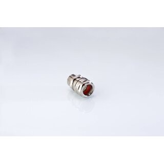Lex 250ms HTS