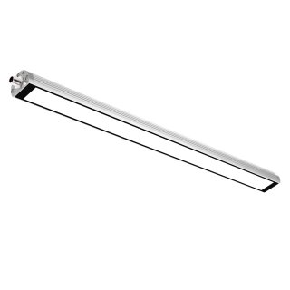 TUBELED_40 II Basic-Line, 540mm, 100°, ~12W, M12-A, 24V DC
