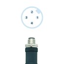 Sensorstecker M12, gerade, konfektionierbar, 4-polig,...